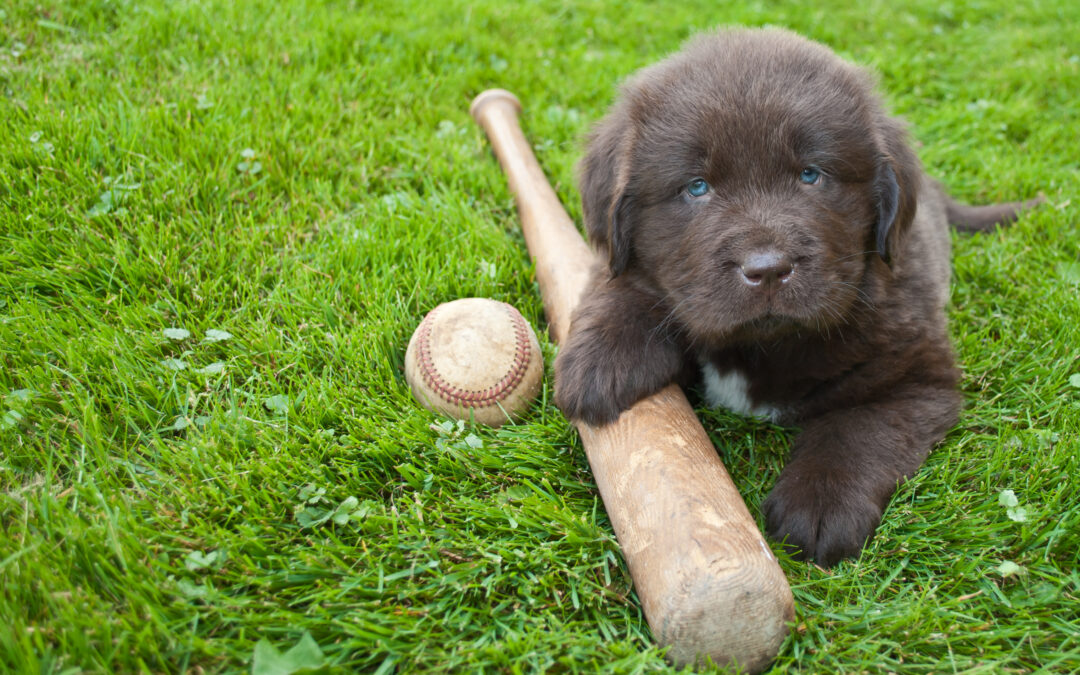 Easter, The Masters, Spring, and Blooming Flowers!