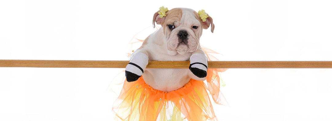 The Markets & Homeownership