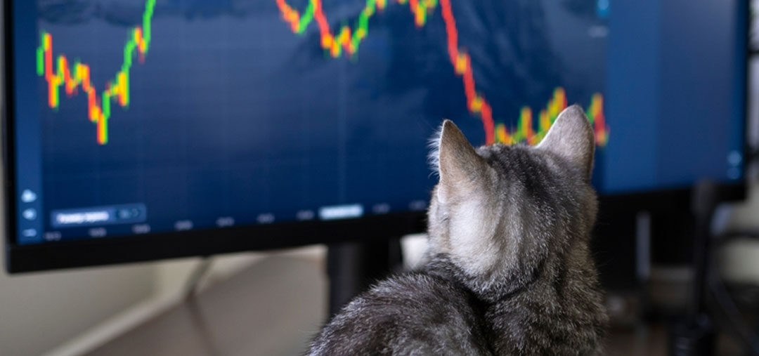 The Bigger Picture, Proven History, and the Effects of Government Shutdowns