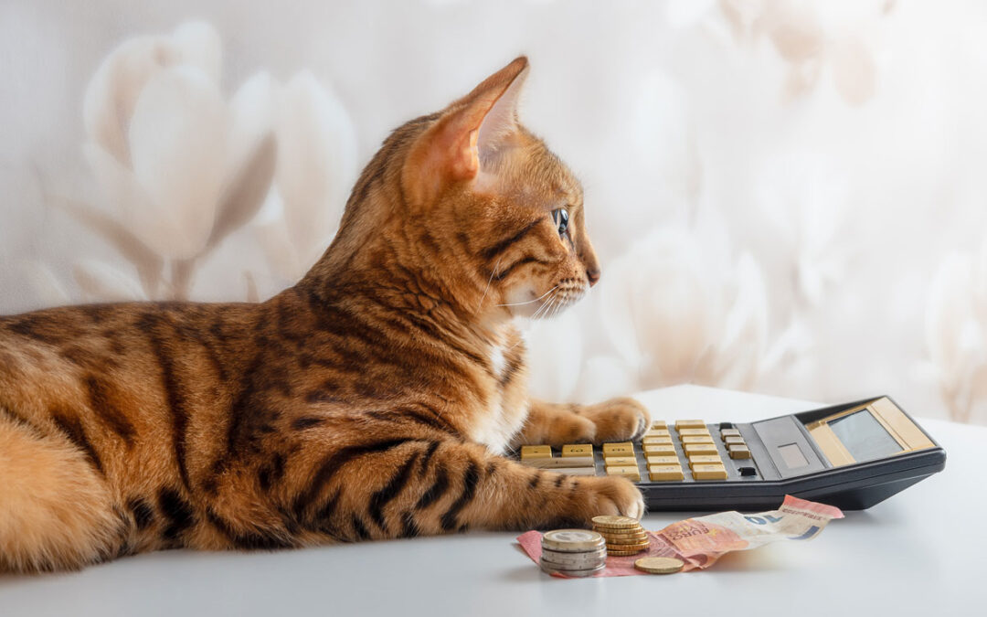 Is the Fed on a Diet?