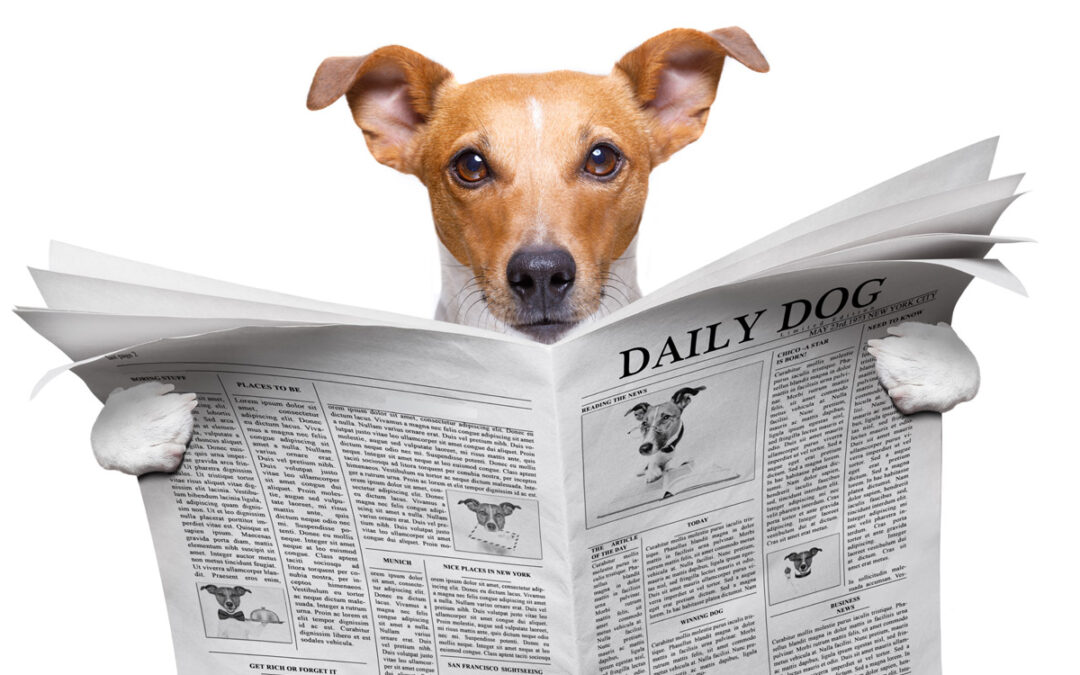 Interest Rates and the Lottery: Feeling Lucky?